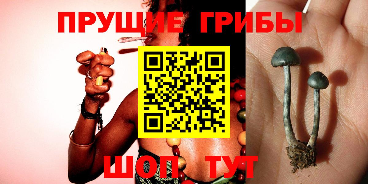 Псилоцибиновые грибы Magic Shrooms  Галлюциногенные грибы Psilocybe  Вход с VPN  Шали 